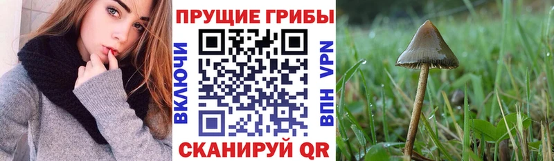 сколько стоит  Нижнеудинск  Галлюциногенные грибы ЛСД 