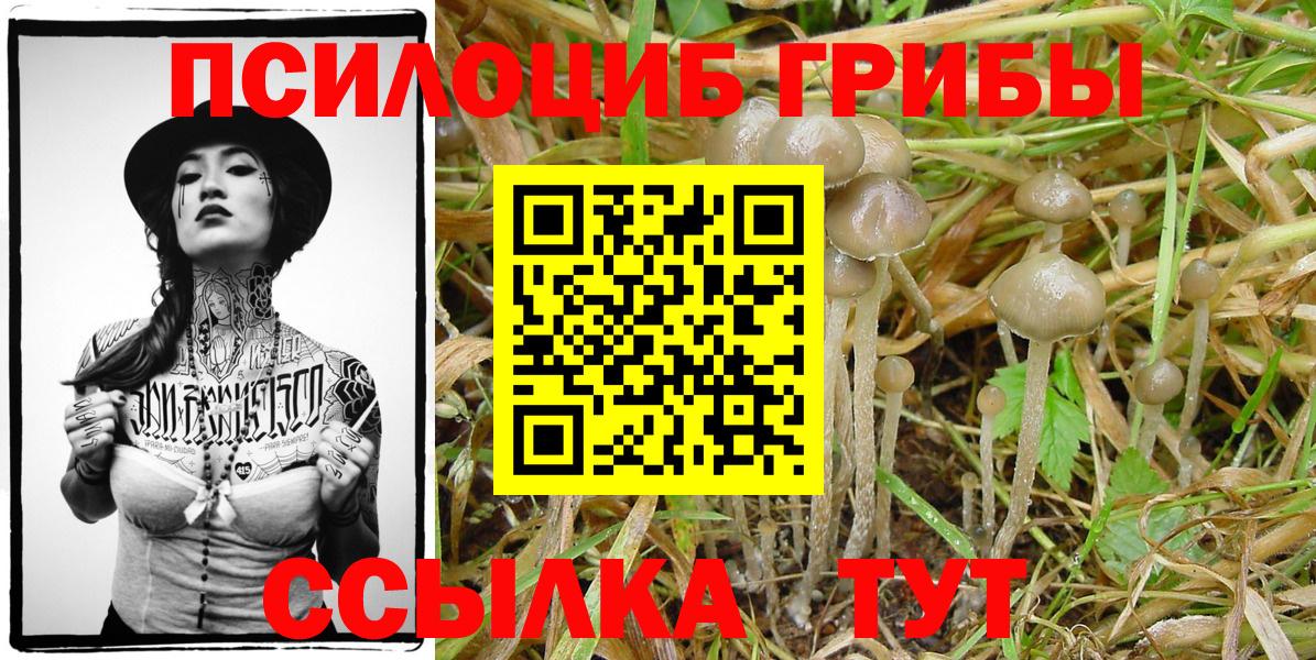 Нижнеудинск  как найти закладки  Вход с VPN  Галлюциногенные грибы ЛСД  Псилоцибиновые грибы GOLDEN TEACHER 